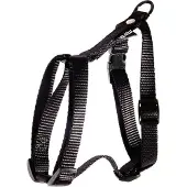 Martin sellier S