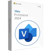 Microsoft Visio Professional 2024 - Lizenz - Download - ESD - Win - alle Sprachen