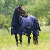 Hv Polo Nena