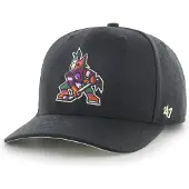 47 Nhl Arizona Coyotes Cold Zone Mvp Dp Kappe