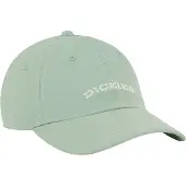 Dickies Wilsall Kappe