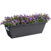 Elho Modern Schwarze Anthrazit Rechteckige Kunststoff-Blumenkübel