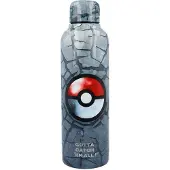 Stor Pokemon Flasche 515ml