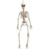 MOM Skelett 120 Cm