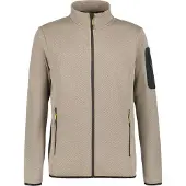 Icepeak BREDSTEDT GRAU