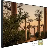 Papermoon Infrarotheizung »EcoHeat - Wald«, Matt-Effekt - bunt