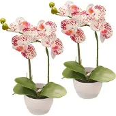 Creativ Green Kunstorchidee "Orchidee Phalaenopsis" im Design-Topf