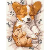 Ideyka Malen nach Zahlen - Schlafender Corgi