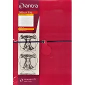 Antrax Notizen A5 Linia Renesans (244320)