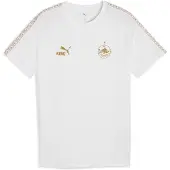 Puma T-Shirt "FC Red Bull Salzburg KING T-Shirt Herren"