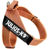 JULIUS K-9 Idc Norwegian Hundegeschirr