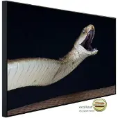 Papermoon Infrarotheizung »EcoHeat - Schwarze Mamba angreifen«, Matt-Effekt - bunt