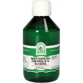 Hecht-Pharma Gmbh Kampferspiritus 10% 250 ml