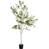 Beliani Olive Tree