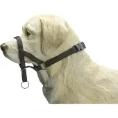 Beeztees Bz Dog Control M Schwz