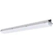 Pracht 5281214-GECKO L 2-22