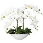 Creativ Green Kunstorchidee »Deko-Orchidee Phalaenopsis in Keramikschale«, 49226315-0 weiß B/H/L: 35 cm x 53 cm