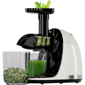 Kitchenbrothers Slow Juicer - Entsafter - Obst- und Gemüsepresse - 700ml - Mit Fruchtfleischbehälter - Champagner