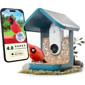 Bird Buddy 2.0 Smart Bird Feeder mit Solarpanel