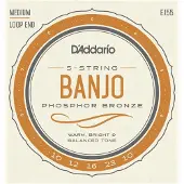 Daddario EJ55