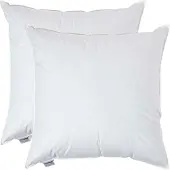 Homescapes FÜLLKISSEN 2er-Set, Federkissen 80/80 cm