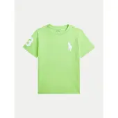 Ralph Lauren T-Shirt 322832907061 Grün Regular Fit
