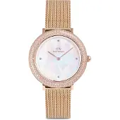 Daniel Wellington Uhr DW00100823 CIRCONIES Roségold