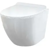 Alcadrain Wand-WC Solid mit WC-Sitz Softclose Slim Duroplast