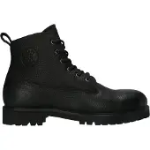 Blackstone Rock Hardy