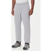 The North Face Jogginghose Expedition Celebration NF0A8E3E Grau Relaxed Fit