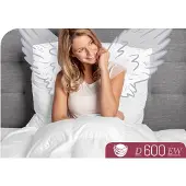 Schlafstil Gänsedaunenbettdecke "D600", extrawarm, Füllung 100% Gänsedaunen, Bezug 100% Baumwolle, (1 St.), hergestellt in Deutschland, allergikerfreundlich