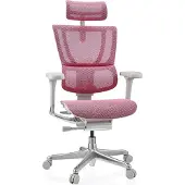 Hjh OFFICE Luxus Chefsessel ERGOHUMAN SLIM G GEN2 Ergonomischer Bürostuhl mit Armlehnen (höhenverstellbar) Netzstoff Drehstuhl für Büro, Zuhause