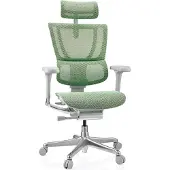 Hjh OFFICE Luxus Chefsessel ERGOHUMAN SLIM G GEN2 Ergonomischer Bürostuhl mit Armlehnen (höhenverstellbar) Netzstoff Drehstuhl für Büro, Zuhause
