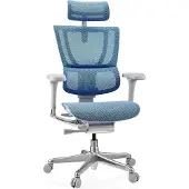 Hjh OFFICE Luxus Chefsessel ERGOHUMAN SLIM G GEN2 Ergonomischer Bürostuhl mit Armlehnen (höhenverstellbar) Netzstoff Drehstuhl für Büro, Zuhause