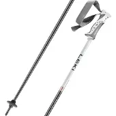 LEKI Herren Alpin-Skistock Bliss