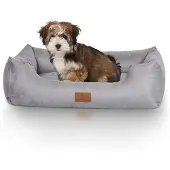 Knuffelwuff Hundebett Dreamline aus Velours M-L 85 x 63cm Grau