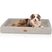 Knuffelwuff orthopädisches Hundebett Austin 1 St
