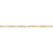 Brumberg 15574004