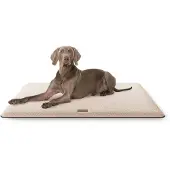 Knuffelwuff Hundematte Calliope Kunstfell 120x80 Beige