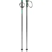 Head Herren Alpin-Skistock Frontside black green