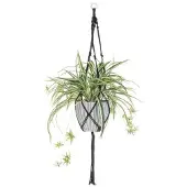 4Living Künstliche Pflanze in grün | Gr.: onesize