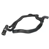 THERMOTEC Kühlerschlauch Wasserschlauch für RENAULT CLIO II (BB0/1/2, CB0/1/2) DWR010TT