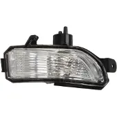 MAGNETI MARELLI Blinkleuchte 182200604400, Rechts