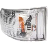 Depo Blinkleuchte 214-1570L-UE Links