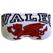 Turbo Wales Dragon Badeslip