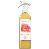 Les Secrets De Loly Cocktail Curl Remedy Spray Hydratant 310 ml