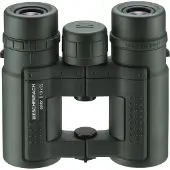 Eschenbach Sektor D 10x32 B