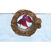Zoo med Floating Betta Log