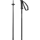 Salomon Polar Access Stöcke