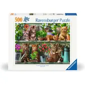 Ravensburger - Puzzle Cats On The Shelf 500p (12000205)